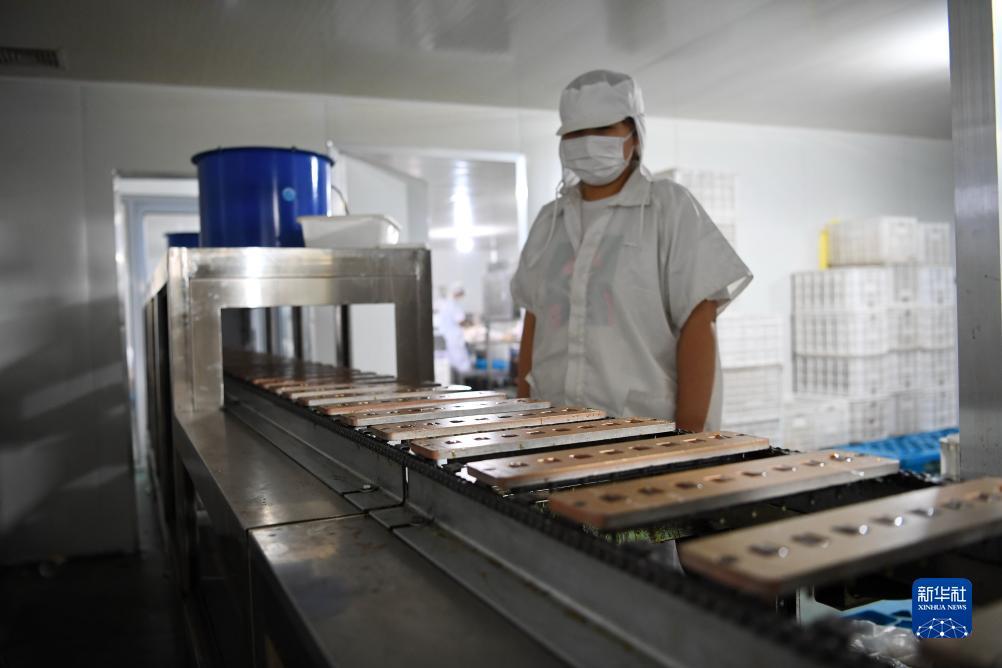 捕鱼大作战官网